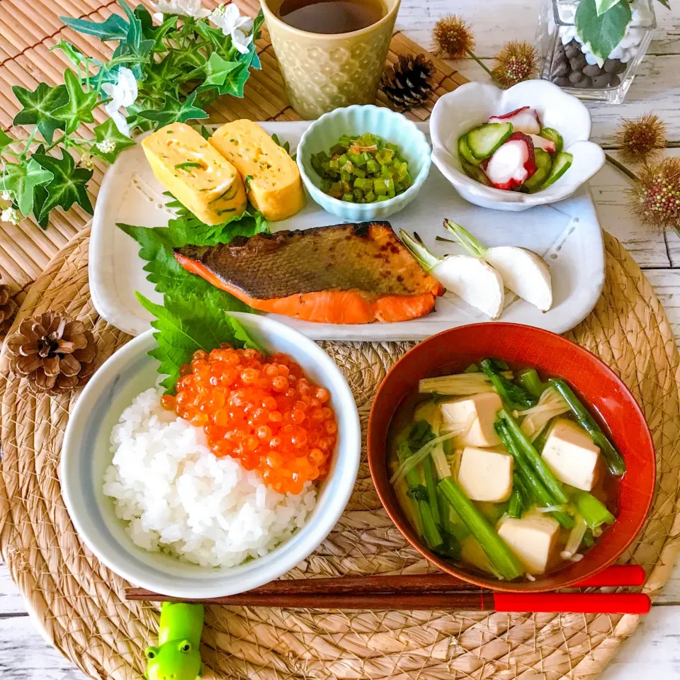 お昼ご飯|ハマーさん