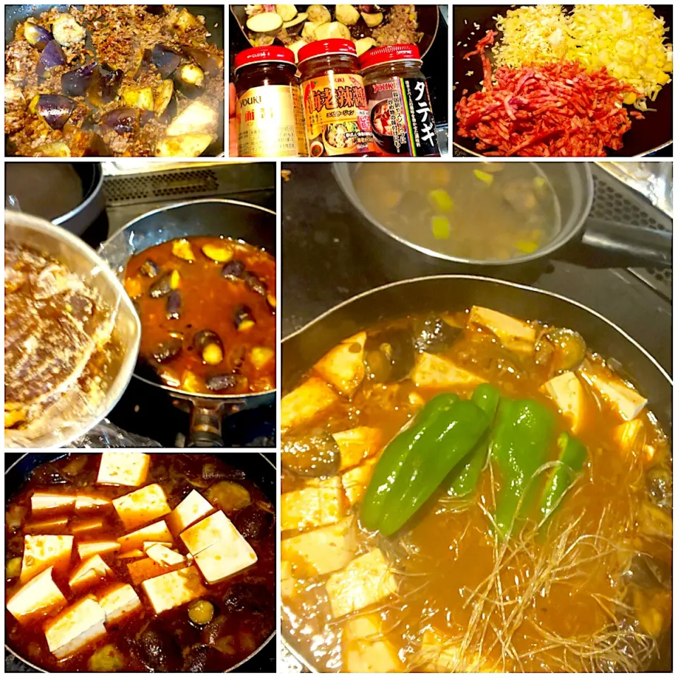 Sichuan style bean curd&egg plant(Mapo Tofu&🍆) 🇨🇳麻婆豆腐&茄子|🌈Ami🍻さん