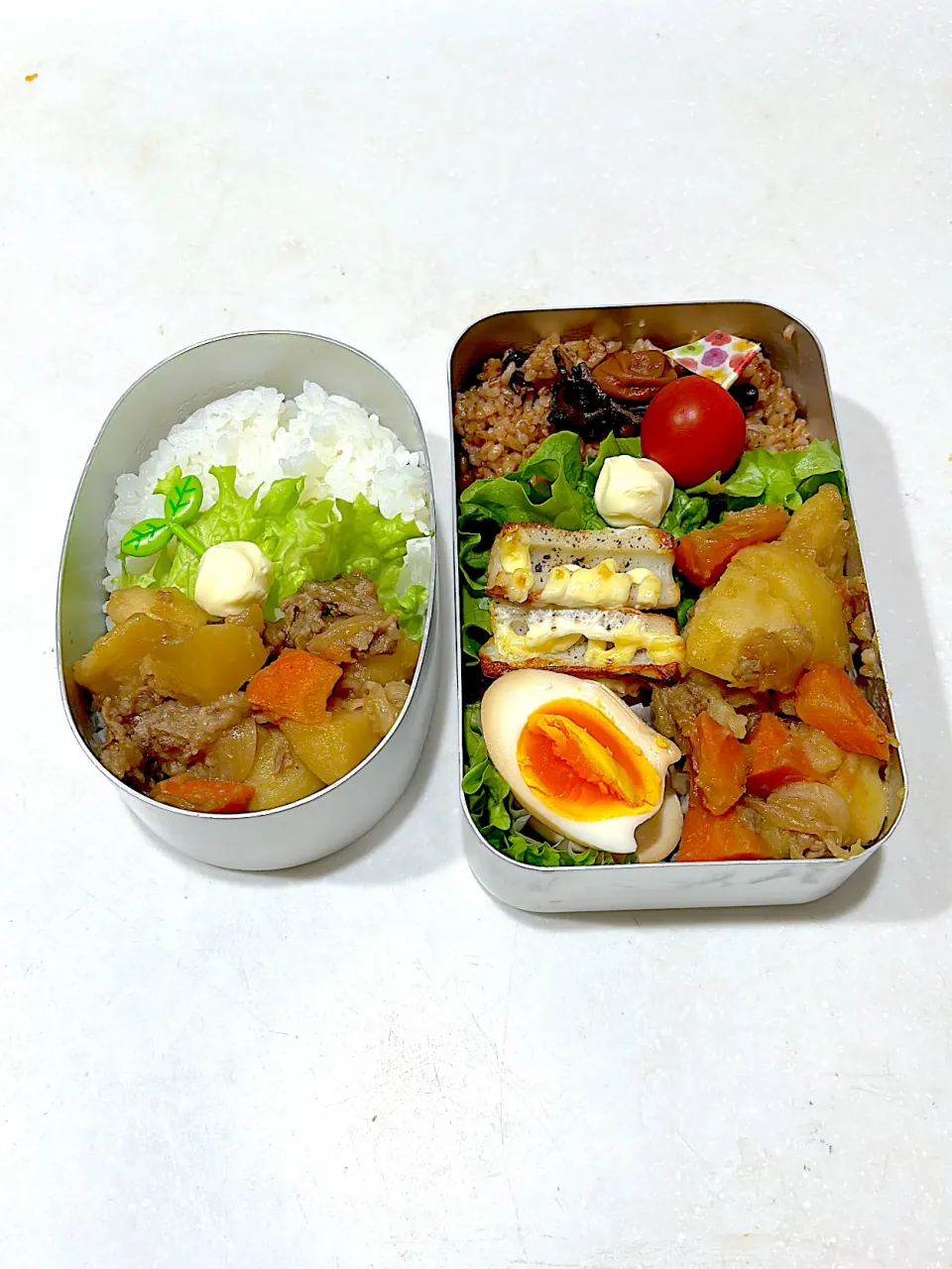 Snapdishの料理写真:今日のオット弁当と、高1ムスメ弁当。|chi.aさん