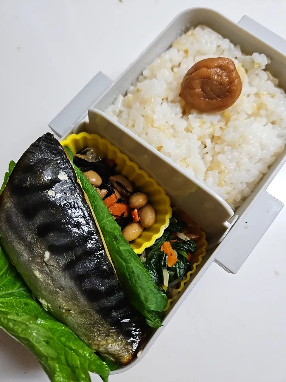 ☆中学生弁当☆玄米入りごはん、梅、ひじき煮物、ほうれん草お浸し、鯖　　じじくさくてごめんね。|ｼｮｺﾗさん