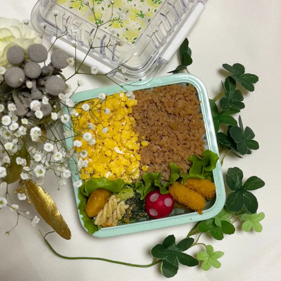 Snapdishの料理写真:12/21❤︎主人のニ色そぼろ弁当🌱✨

＊ 鶏そぼろ
＊ たまごそぼろ
＊ 鮭マヨフライ
＊ イカの天ぷら|Makinsさん