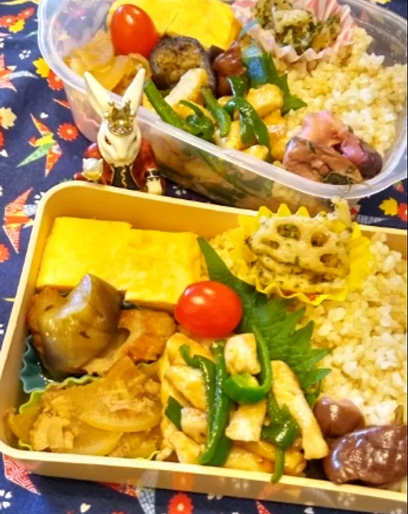 ゛23．12/21
本日のお弁当🍱|たえさん