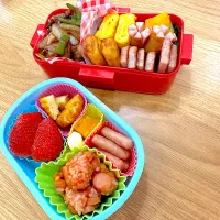 Snapdishの料理写真:親子弁当|ちぇーさん