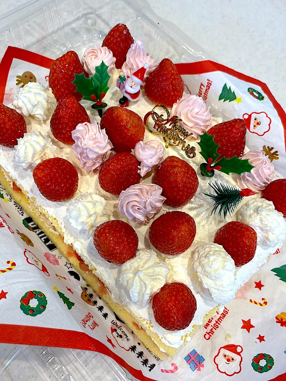 Snapdishの料理写真:手作りクリスマスケーキ🍰|tomoさん