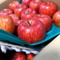 Snapdishの料理写真:Apple from Iwate|M Reyesさん