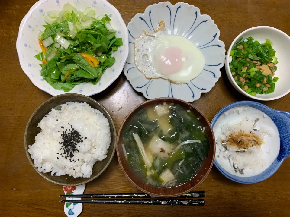 昼食|ATさん