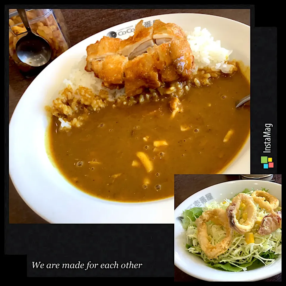 CoCo壱番屋さんのカレー🍛😋|アライさんさん