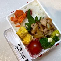 Snapdishの料理写真:小1弁当|tomorincoさん