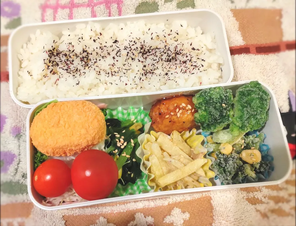 12月28日 今日のお弁当|ビアンカさん