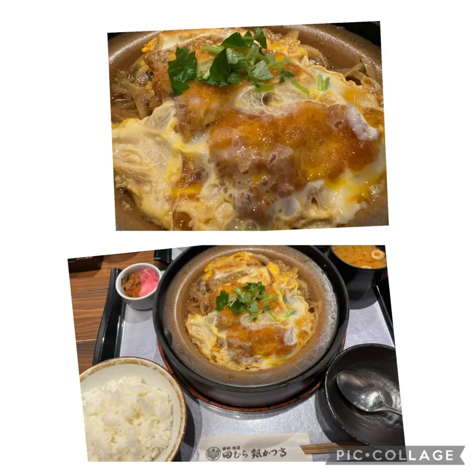 先週の小田原出張ランチ@田むら銀かつ亭の豆腐かつ煮定食を。ここはクリニックに近い小田原店です。美味しくいただきました。安定の美味しさ。|sniper66さん