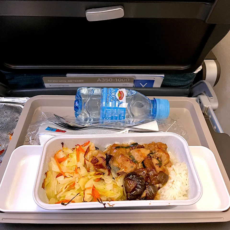 Airplane meal|skyblueさん