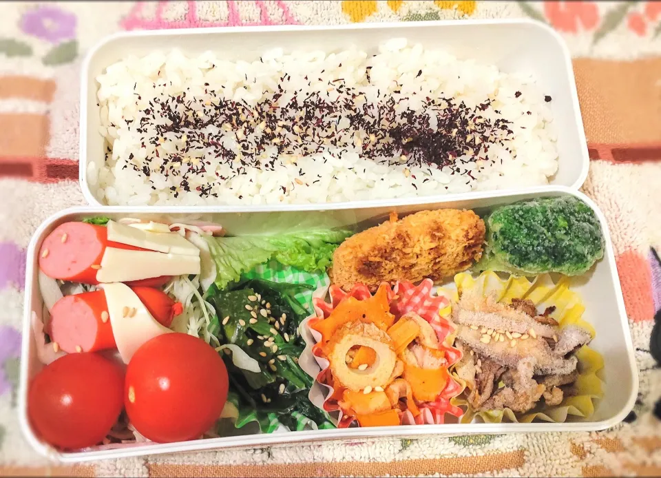 12月29日 今日のお弁当|ビアンカさん