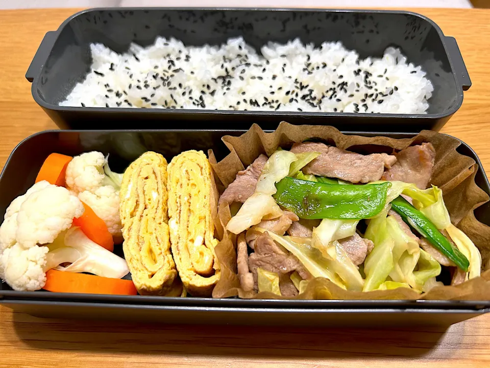 Snapdishの料理写真:12月19日息子のお弁当|かおりさん