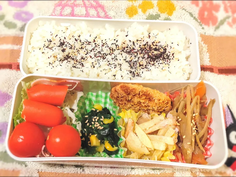 1月4日 今日のお弁当|ビアンカさん