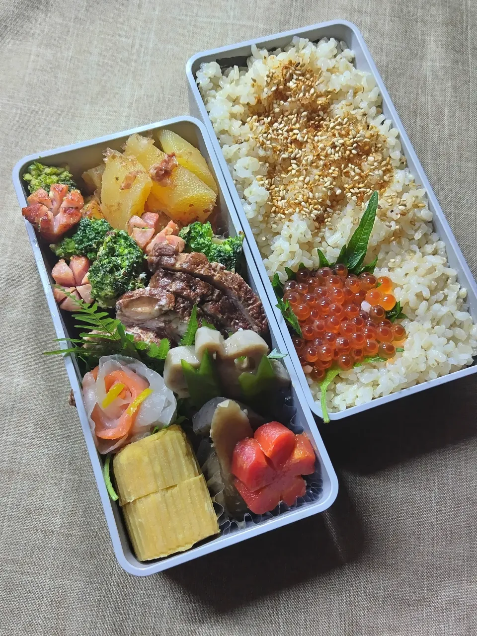 Snapdishの料理写真:今日のお弁当|めしだママさん