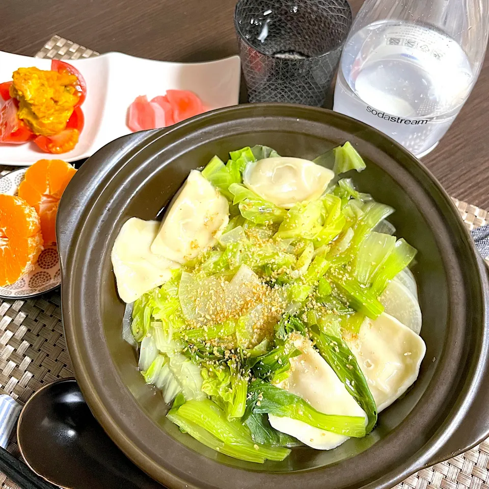 1/5晩ご飯：野菜たっぷり鍋|ななみんさん