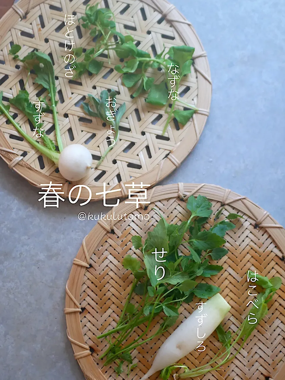 Snapdishの料理写真:春の七草|kukulutomo ❁𓎪 ⡱𓎩‎𐩢𐩺𓎪 ⡱さん