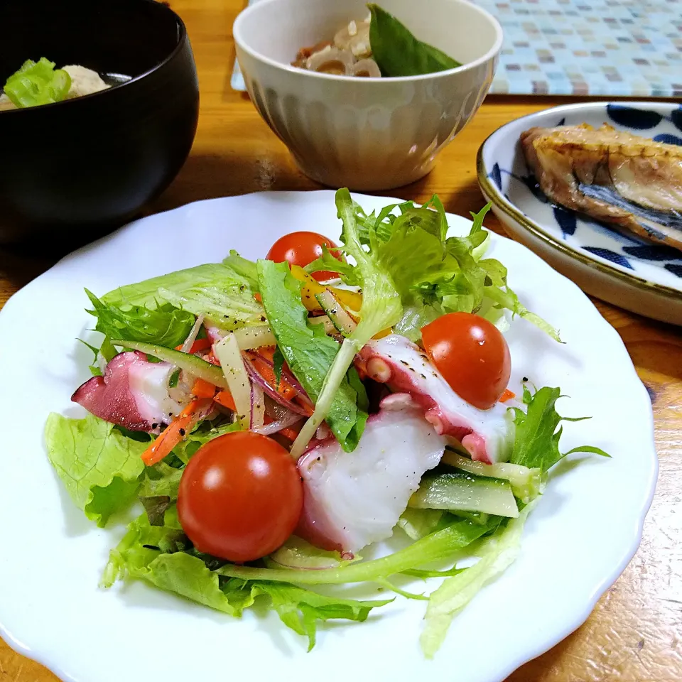 塩麹パウダーでタコのカルパッチョ🐙|とまと🍅さん