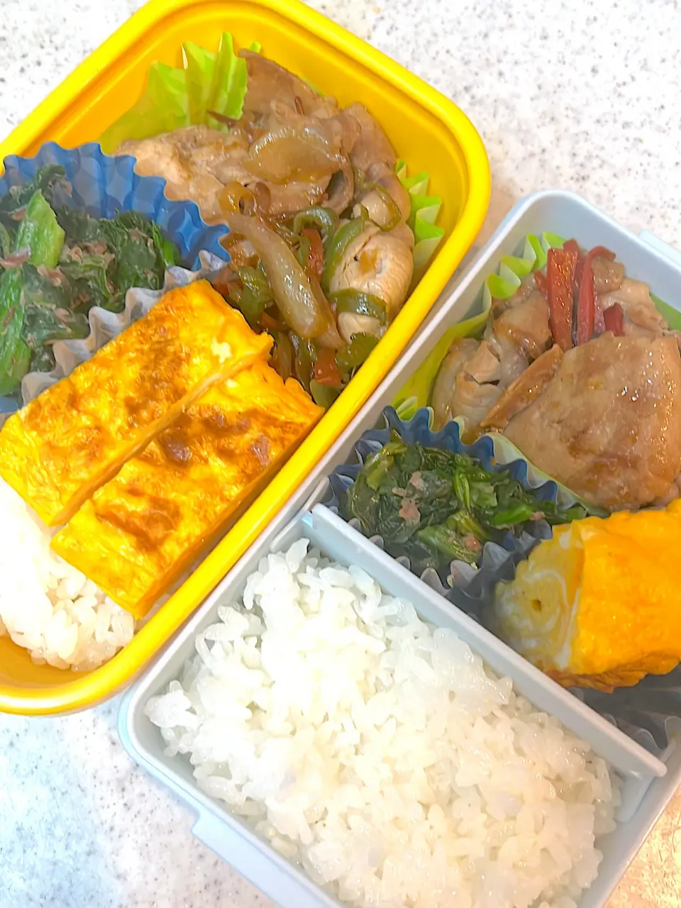 今日のお弁当|asumamaさん