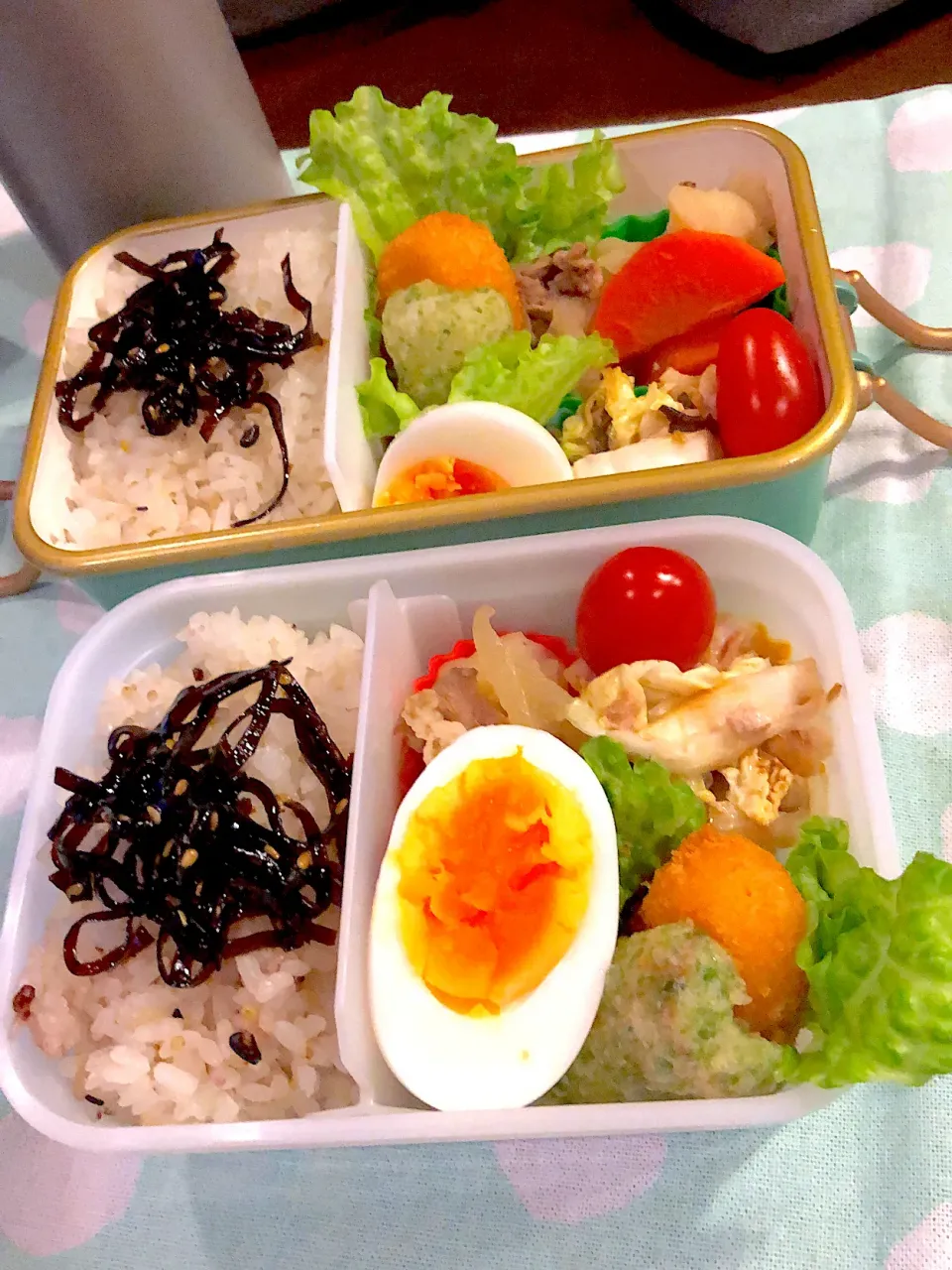 2024.1.9  ＊今日のお弁当＊白菜のツナサラダᕷ*.°|rinrin*mama*さん