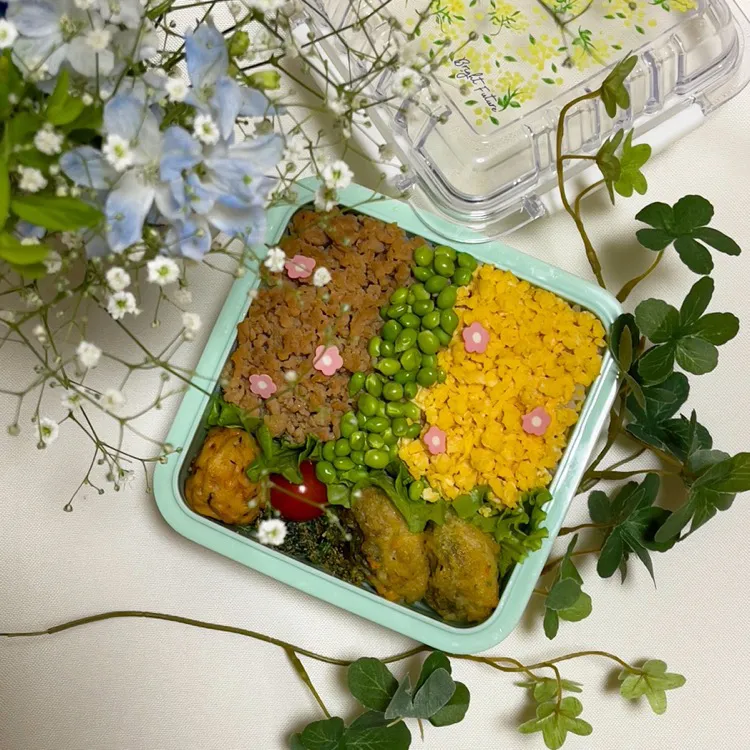 1/9❤︎主人の三色そぼろ弁当🌱
長ーいお正月休みも終わり主人も今日から仕事始め。

＊ 鶏そぼろ
＊ たまごそぼろ
＊ スナップエンドウ
＊ えびとひじきのふんわり揚げ
＊ 茄子の挟み揚げ|Makinsさん