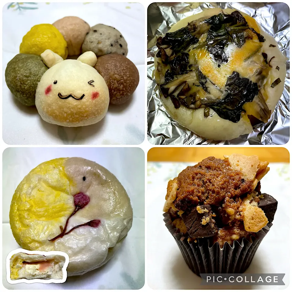 カラフルちぎりパン、ピザパン（舞茸とほうれん草のジェノベーゼ）、桜あんぱん（クリームチーズ）、チョコマフィン　@虹の輪ベーカリー|こいちさん