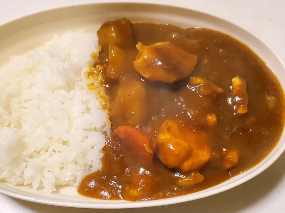 チキンカレー(玉葱ジャガイモ人参鳥胸肉)|しんさん