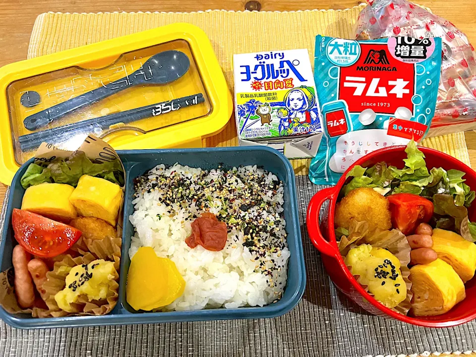 今日のヤツのお弁当（R6.1.10）|え〜かさん