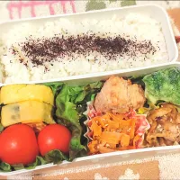 1月11日 今日のお弁当|ビアンカさん