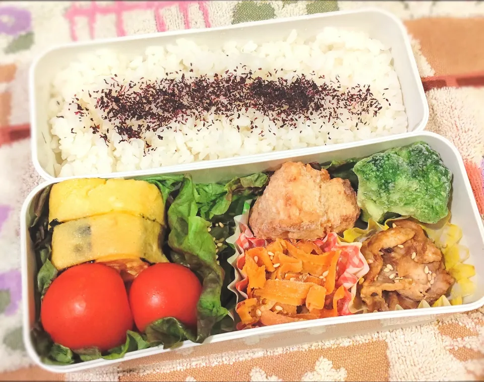 1月11日 今日のお弁当|ビアンカさん