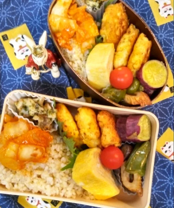 ゛24．1/11
本日のお弁当🍱|たえさん