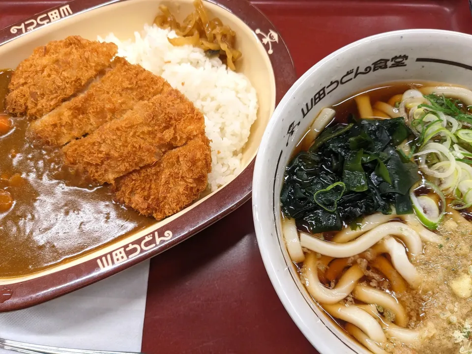 Snapdishの料理写真:かつカレーとたぬきうどん|nobさん