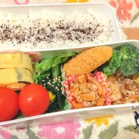 1月13日 今日のお弁当|ビアンカさん