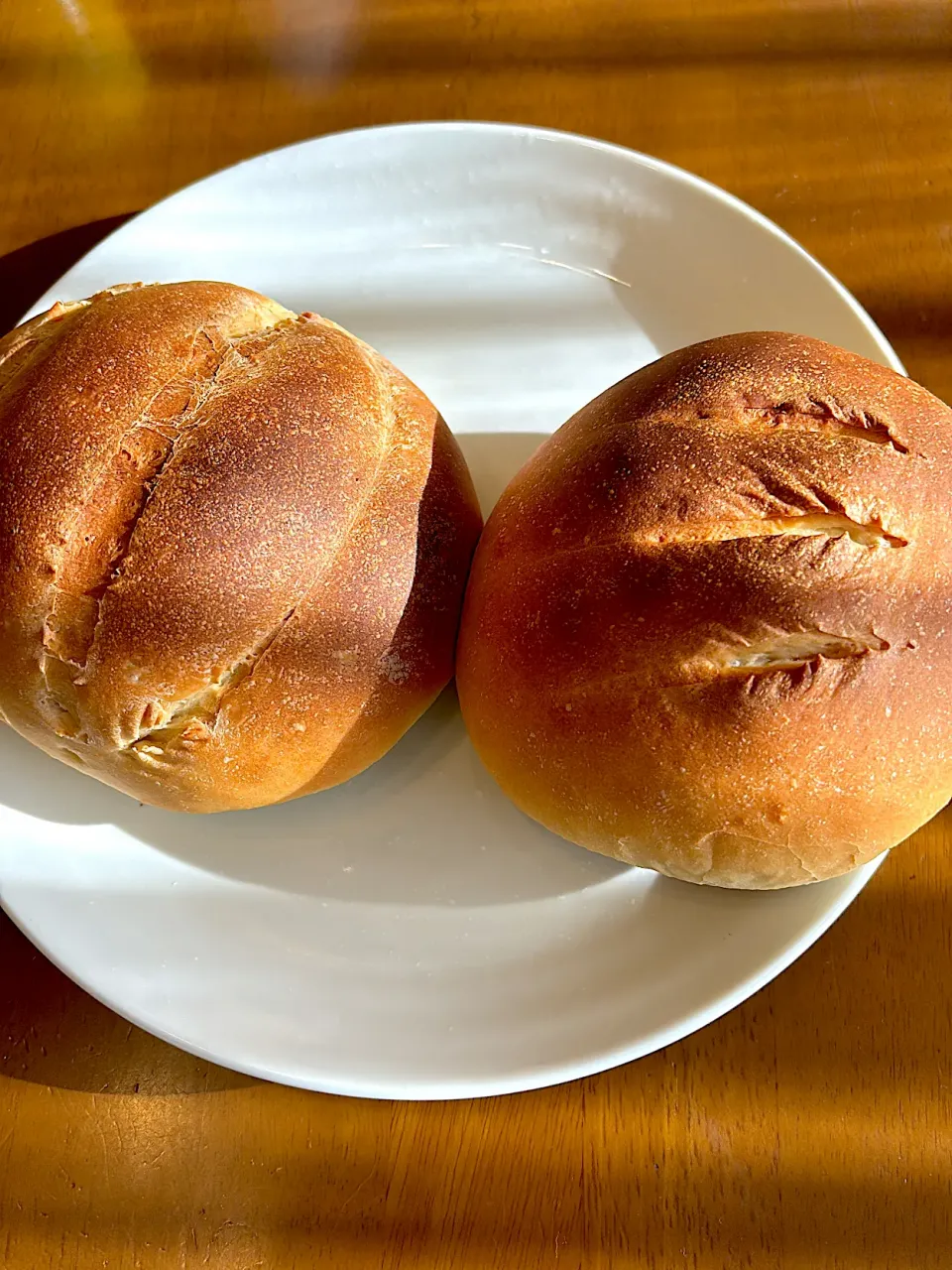 ハード系丸パン焼き上がりました|masaさん