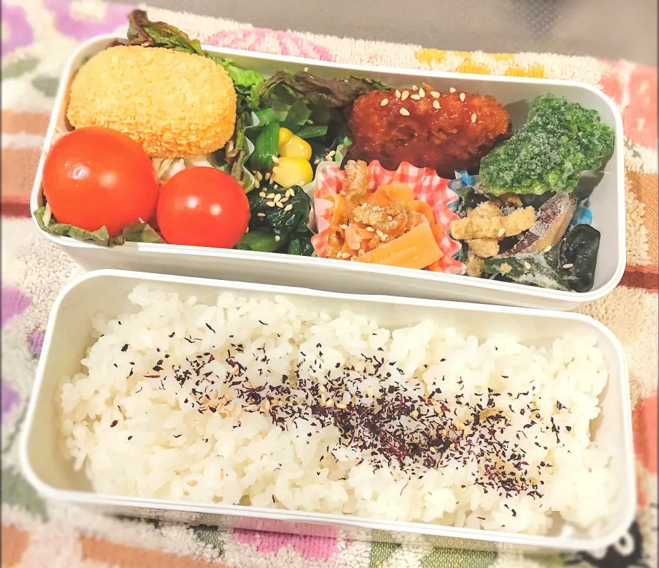 1月14日 今日のお弁当|ビアンカさん