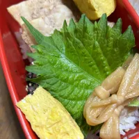 Snapdishの料理写真:のっけ弁|tsumuさん