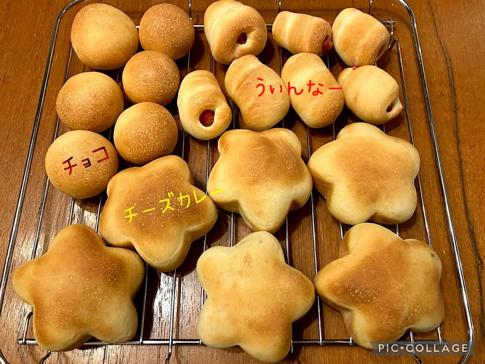 今日のぱん子ちゃんたち🥐|きみちさん