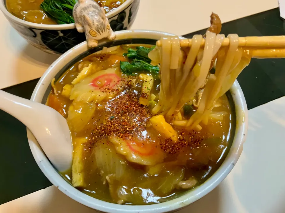 Snapdishの料理写真:寒い日はお家で具沢山カレーうどん|Takeshi  Nagakiさん