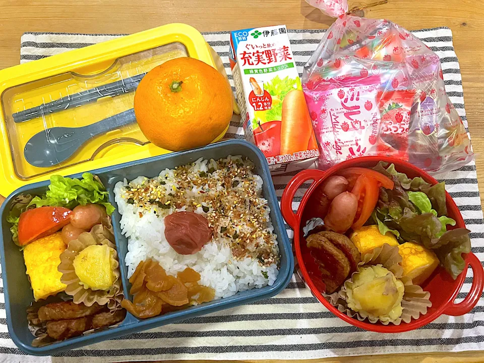 今日のヤツのお弁当（R6.1.15）|え〜かさん