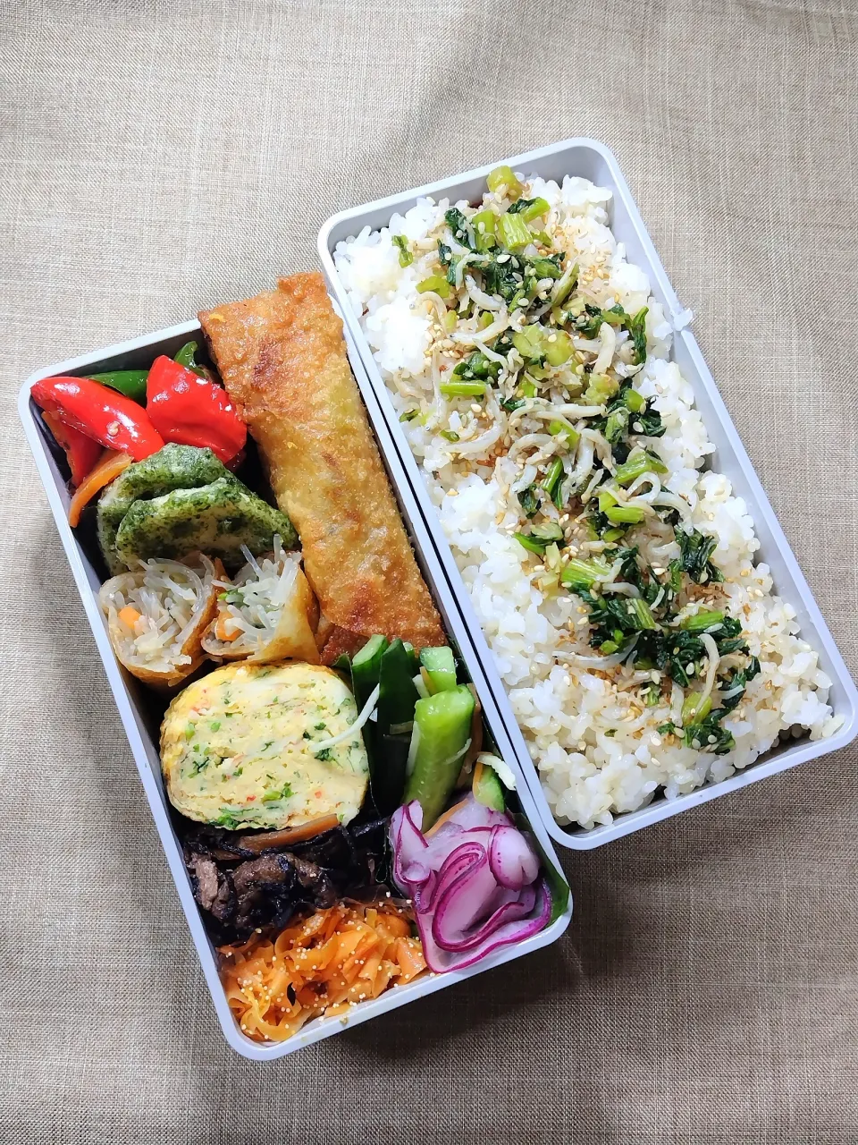 Snapdishの料理写真:今日のお弁当|めしだママさん