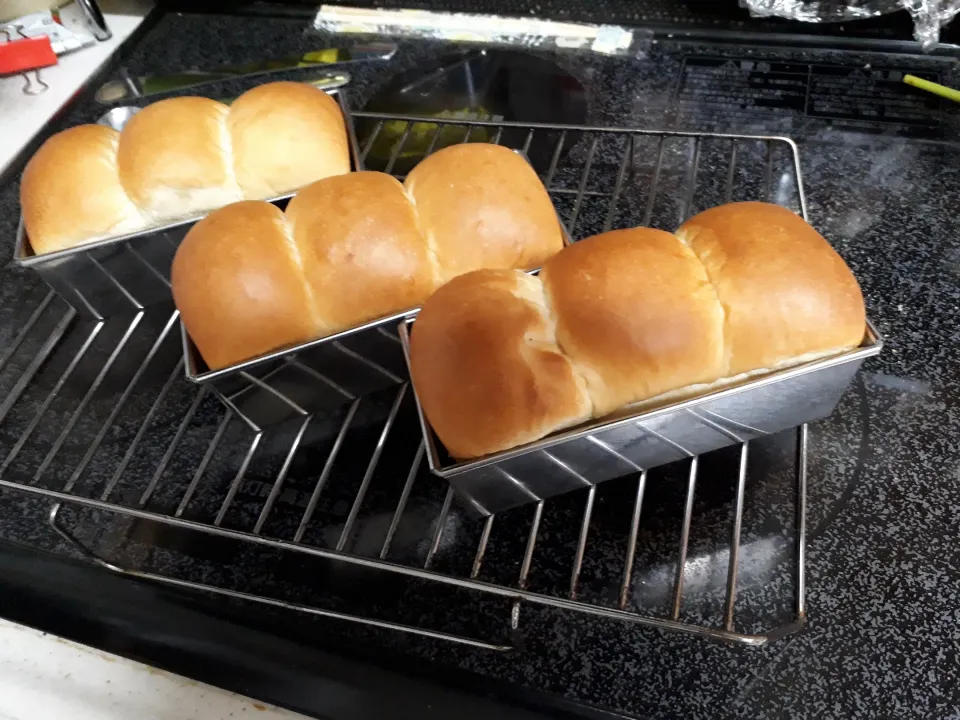 Snapdishの料理写真:#玄米食パンを焼きました。|ブランさん