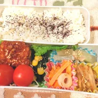 1月17日 今日のお弁当|ビアンカさん