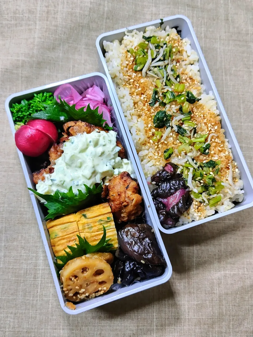 今日のお弁当
|めしだママさん