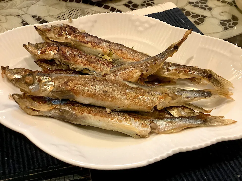 大きなシシャモさん🐟😋|アライさんさん