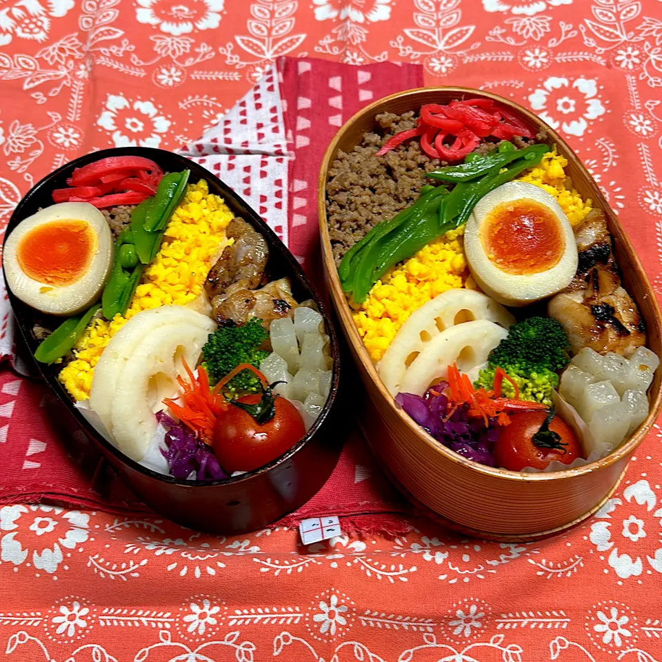 豚そぼろ弁当|roroさん