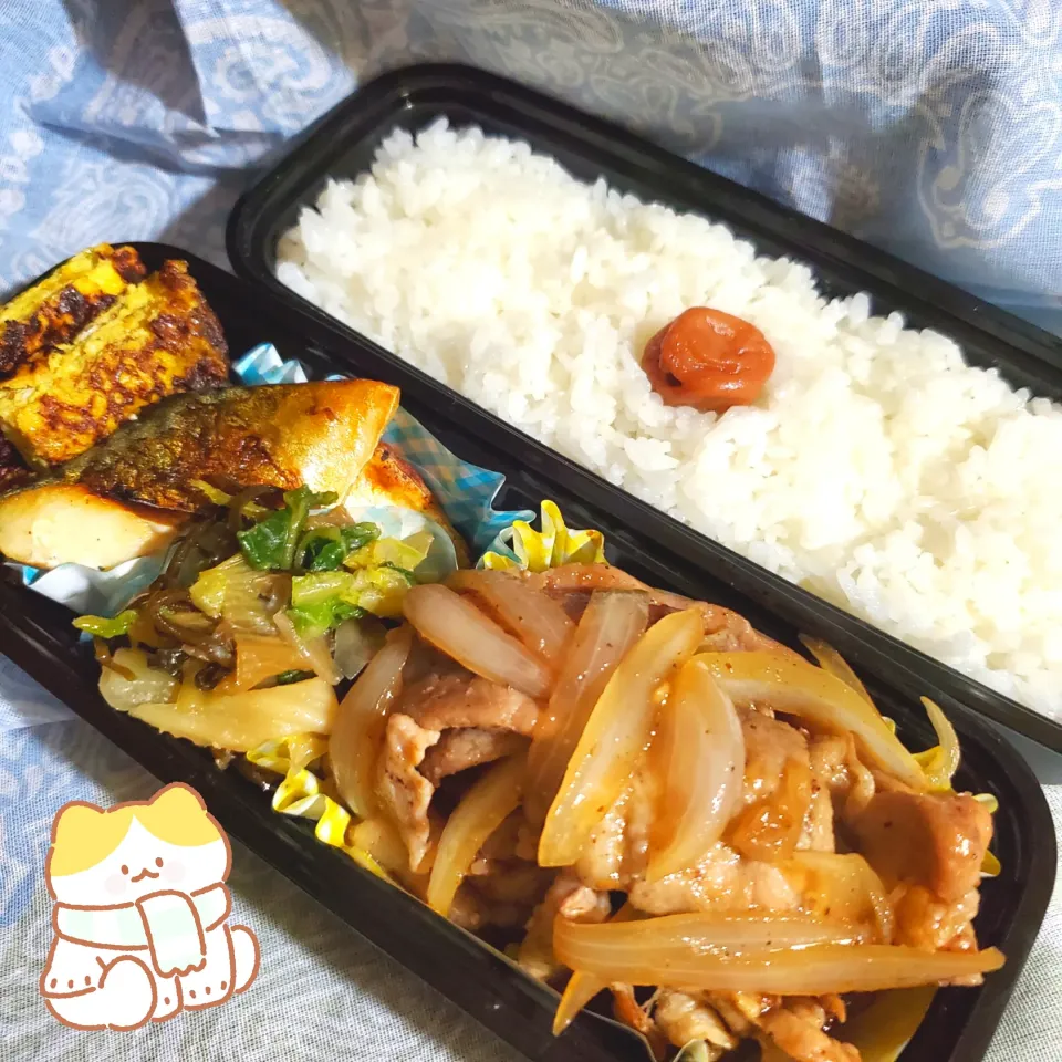 今日のお弁当(焼き鯖&肉炒め)
2024/01/19|SHI0RIさん