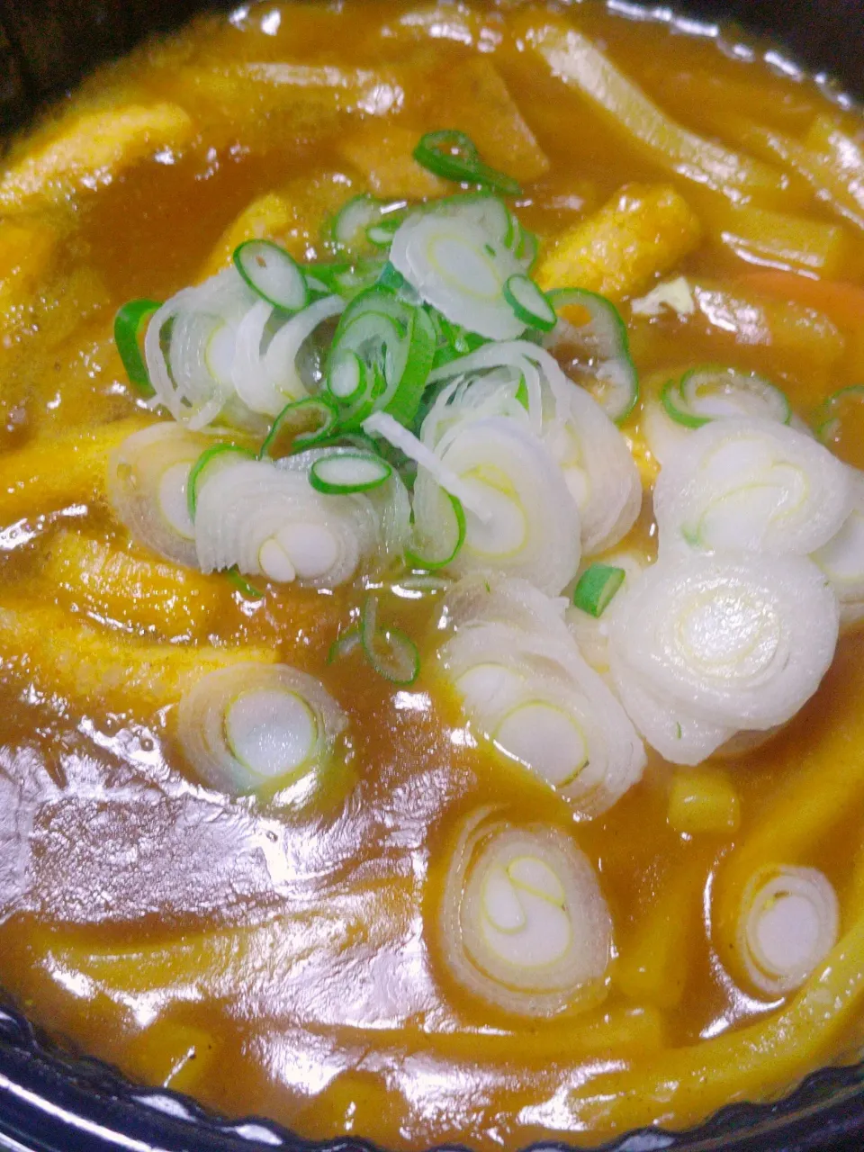 能登半島地震19日目　

カレーうどん|ごますりさん