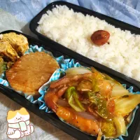 今日のお弁当(大根ステーキ&白菜のうま煮)
2024/01/20|SHI0RIさん