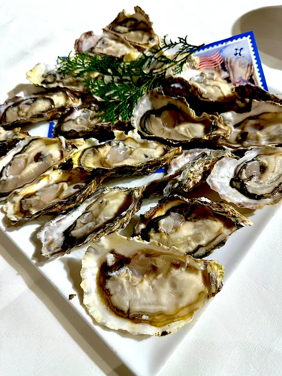 牡蠣🦪パ〜　新年会😋　オイスターバーだと高いけど、お友達のお取り寄せで皆んな大満足✨|BUBUさん