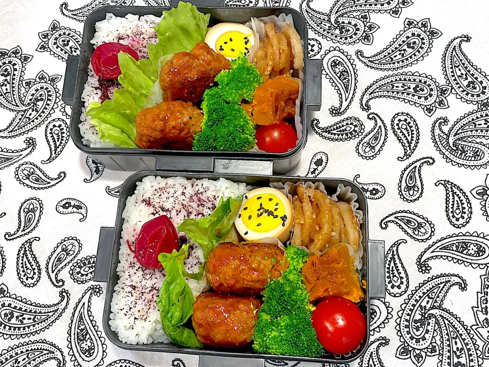 Snapdishの料理写真:ハンバーグ弁当|hiro♪kouさん